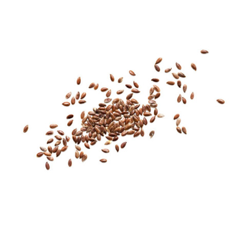 GRAINE DE SALADE 2KG